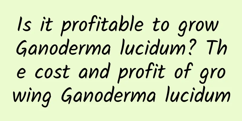 Is it profitable to grow Ganoderma lucidum? The cost and profit of growing Ganoderma lucidum