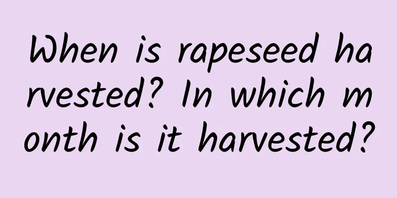 When is rapeseed harvested? In which month is it harvested?