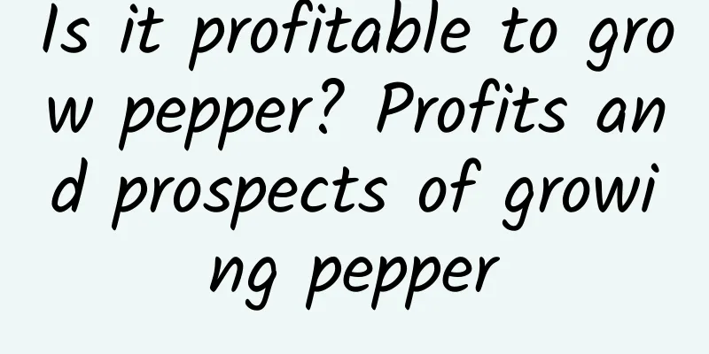 Is it profitable to grow pepper? Profits and prospects of growing pepper