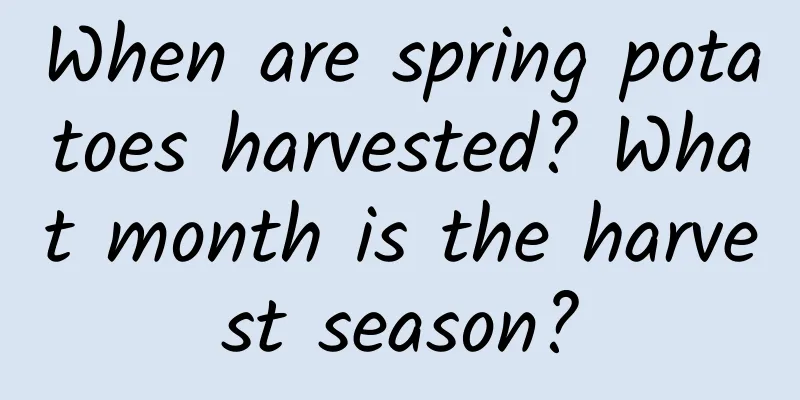 When are spring potatoes harvested? What month is the harvest season?