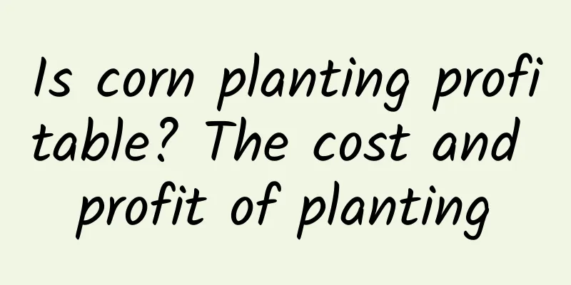 Is corn planting profitable? The cost and profit of planting