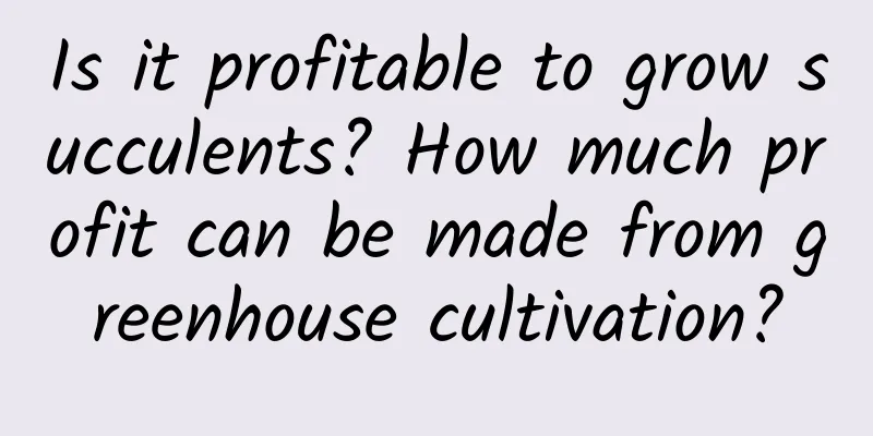 Is it profitable to grow succulents? How much profit can be made from greenhouse cultivation?