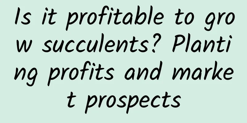 Is it profitable to grow succulents? Planting profits and market prospects