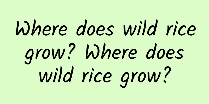 Where does wild rice grow? Where does wild rice grow?