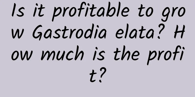 Is it profitable to grow Gastrodia elata? How much is the profit?