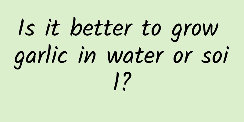 Is it better to grow garlic in water or soil?