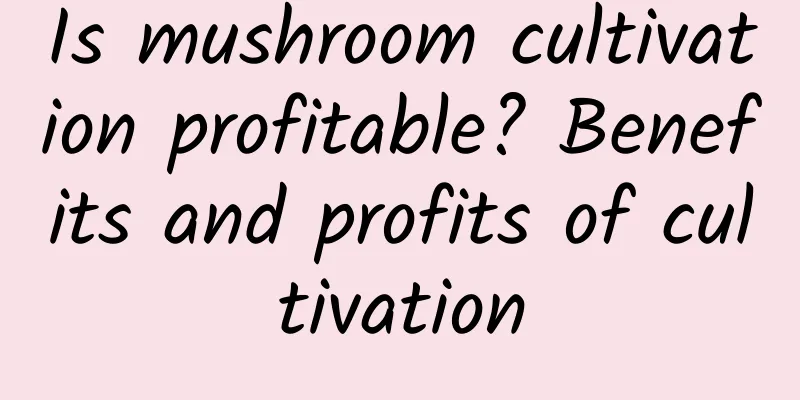 Is mushroom cultivation profitable? Benefits and profits of cultivation