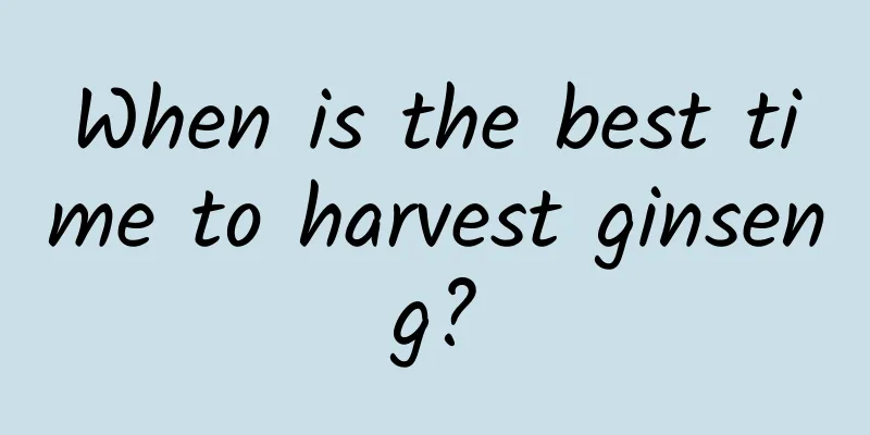 When is the best time to harvest ginseng?
