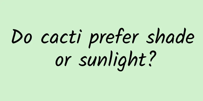 Do cacti prefer shade or sunlight?