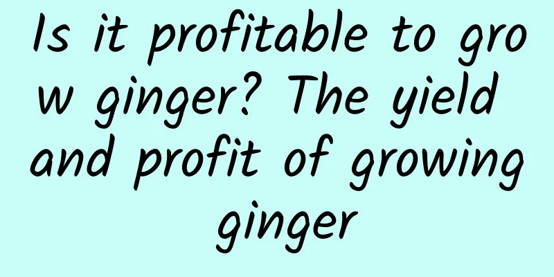 Is it profitable to grow ginger? The yield and profit of growing ginger