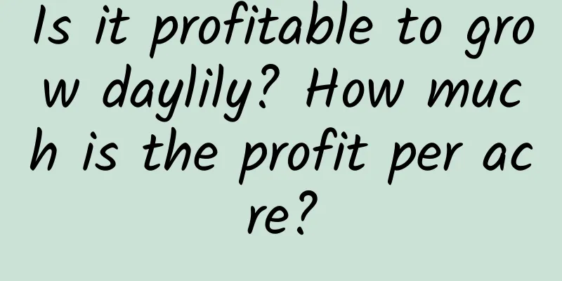Is it profitable to grow daylily? How much is the profit per acre?