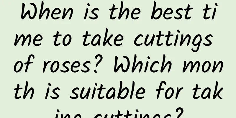 When is the best time to take cuttings of roses? Which month is suitable for taking cuttings?