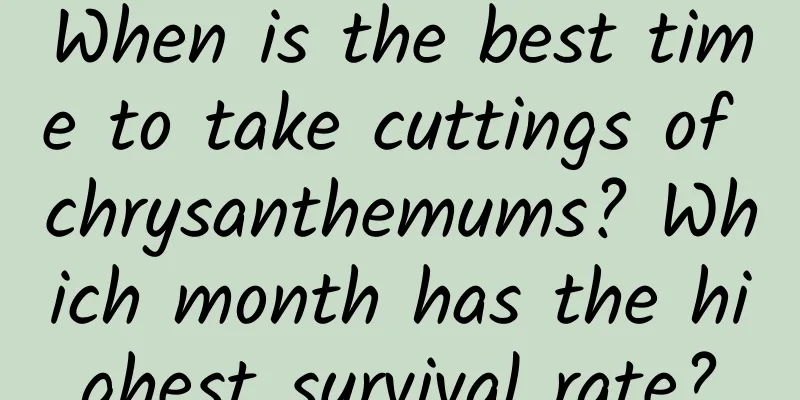 When is the best time to take cuttings of chrysanthemums? Which month has the highest survival rate?