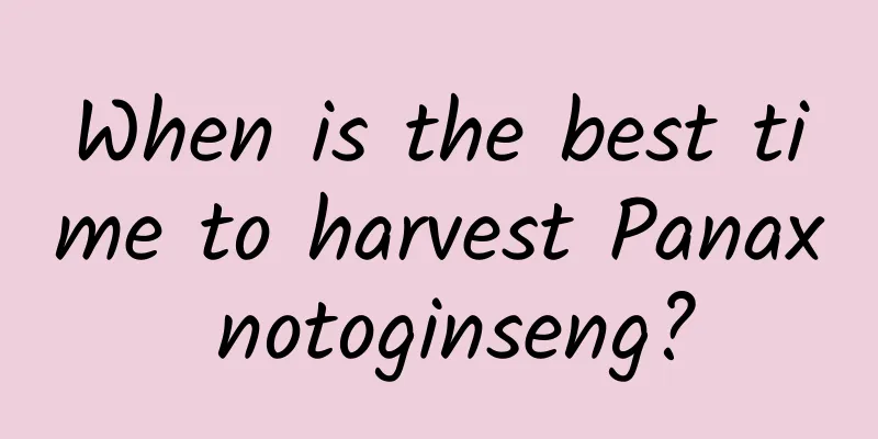 When is the best time to harvest Panax notoginseng?