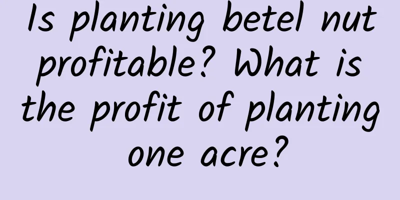 Is planting betel nut profitable? What is the profit of planting one acre?