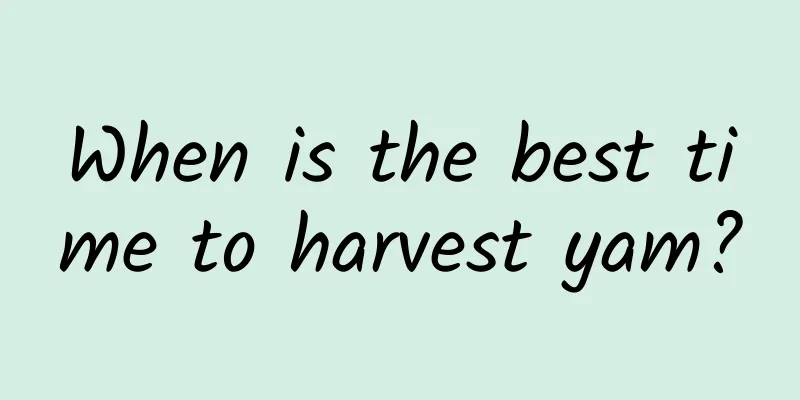 When is the best time to harvest yam?