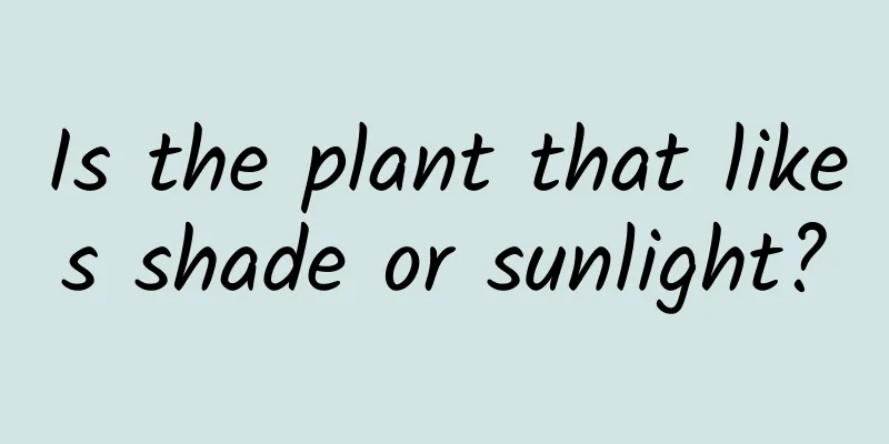 Is the plant that likes shade or sunlight?