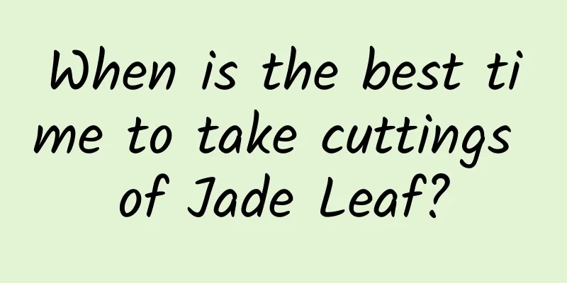 When is the best time to take cuttings of Jade Leaf?