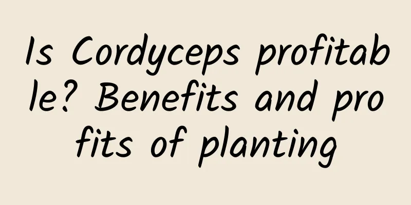 Is Cordyceps profitable? Benefits and profits of planting