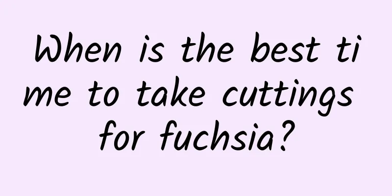 When is the best time to take cuttings for fuchsia?