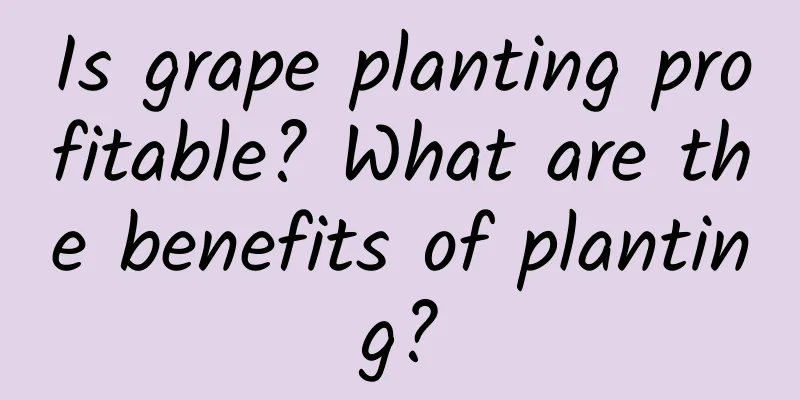 Is grape planting profitable? What are the benefits of planting?