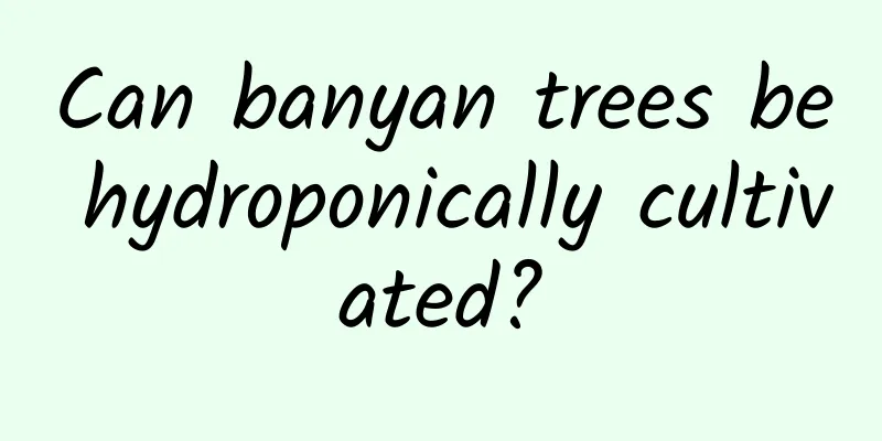 Can banyan trees be hydroponically cultivated?