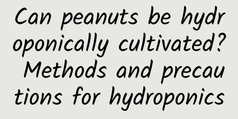 Can peanuts be hydroponically cultivated? Methods and precautions for hydroponics