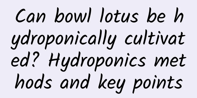 Can bowl lotus be hydroponically cultivated? Hydroponics methods and key points