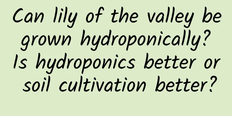 Can lily of the valley be grown hydroponically? Is hydroponics better or soil cultivation better?