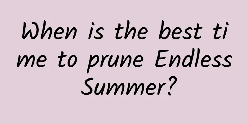 When is the best time to prune Endless Summer?