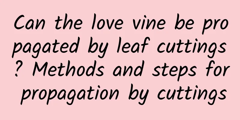 Can the love vine be propagated by leaf cuttings? Methods and steps for propagation by cuttings