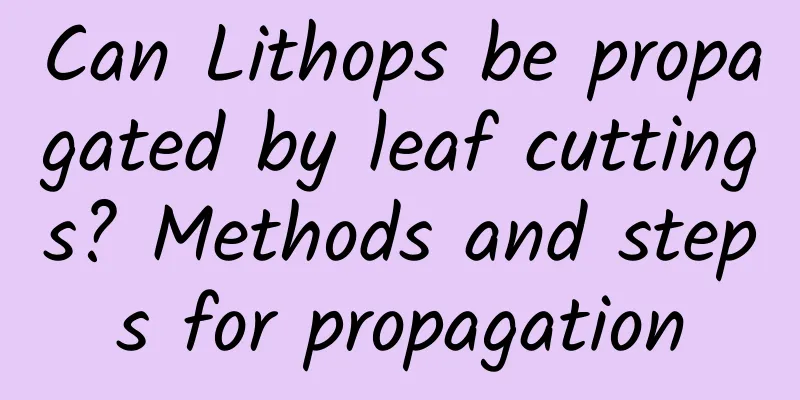 Can Lithops be propagated by leaf cuttings? Methods and steps for propagation