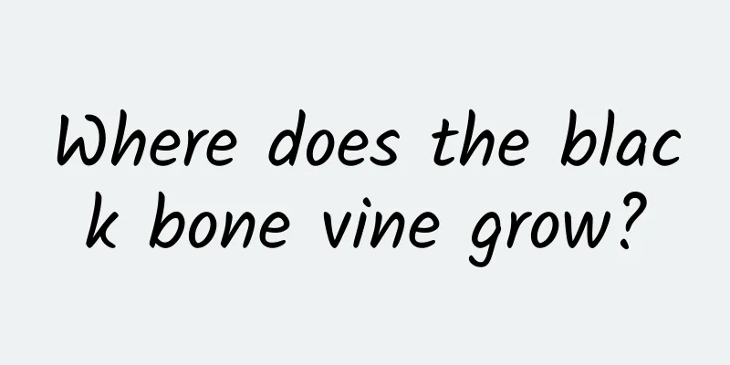 Where does the black bone vine grow?