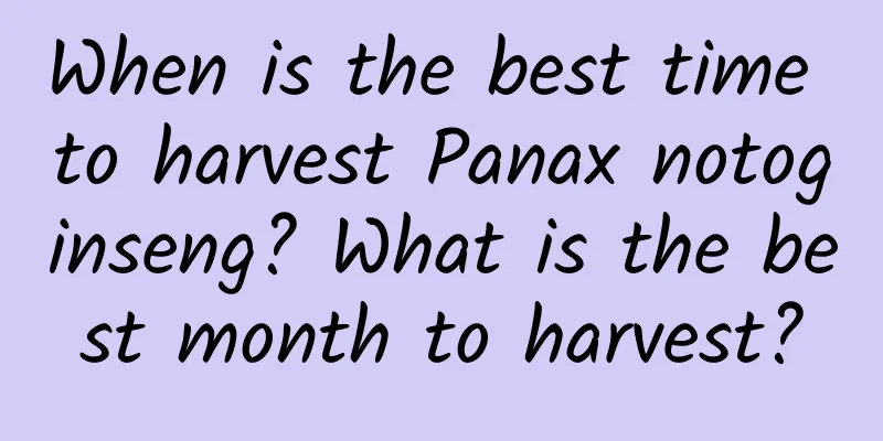When is the best time to harvest Panax notoginseng? What is the best month to harvest?
