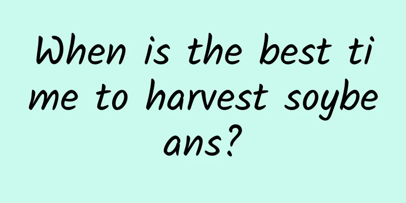 When is the best time to harvest soybeans?