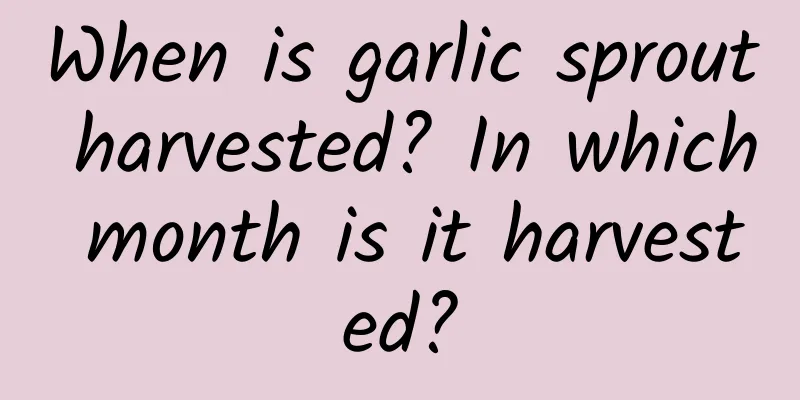 When is garlic sprout harvested? In which month is it harvested?