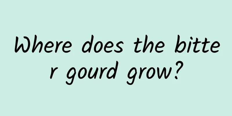 Where does the bitter gourd grow?
