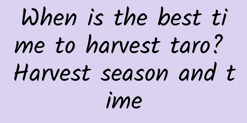 When is the best time to harvest taro? Harvest season and time