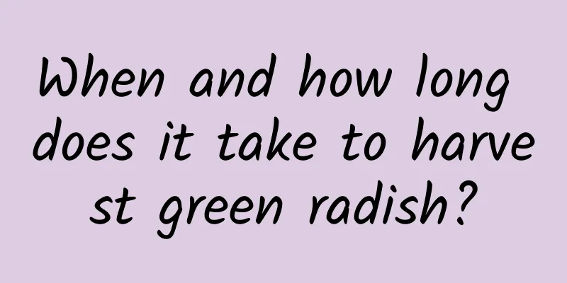 When and how long does it take to harvest green radish?