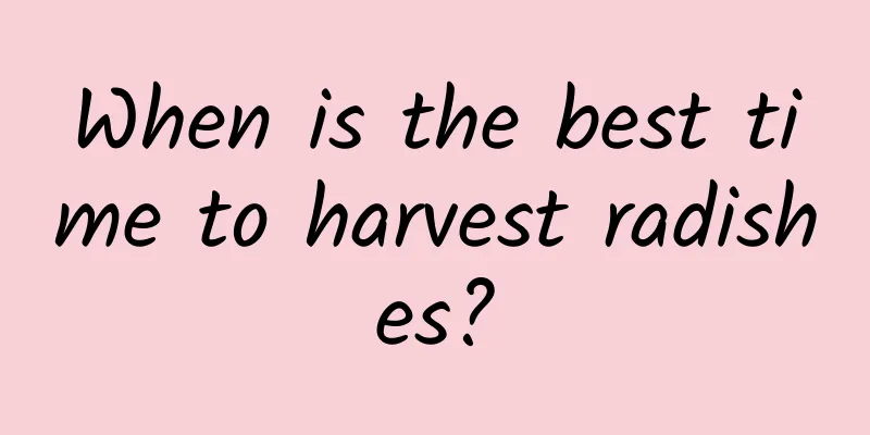 When is the best time to harvest radishes?