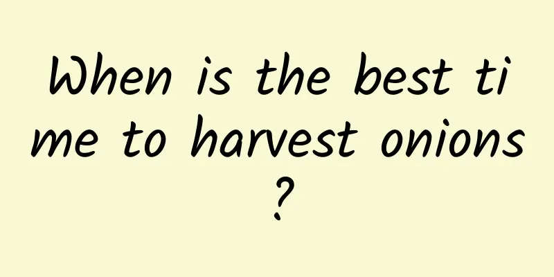 When is the best time to harvest onions?
