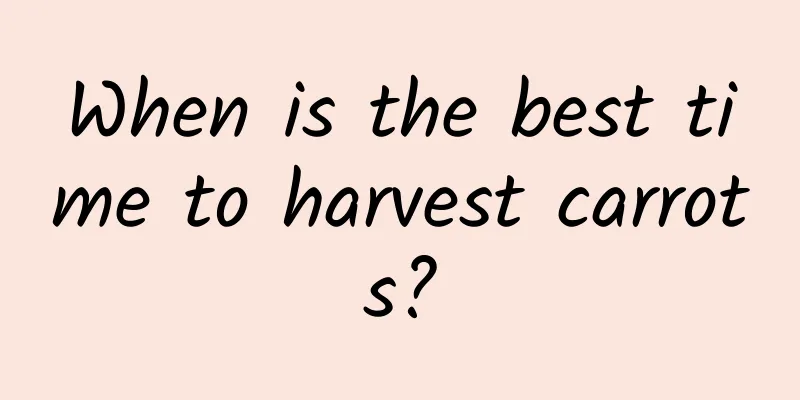 When is the best time to harvest carrots?