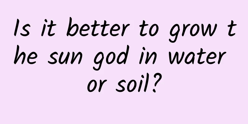 Is it better to grow the sun god in water or soil?