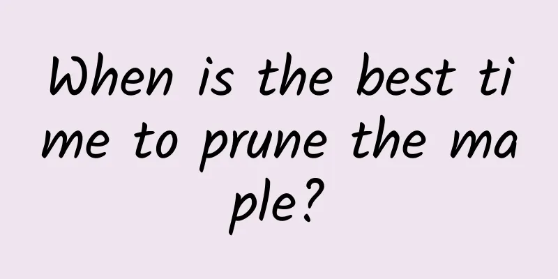 When is the best time to prune the maple?