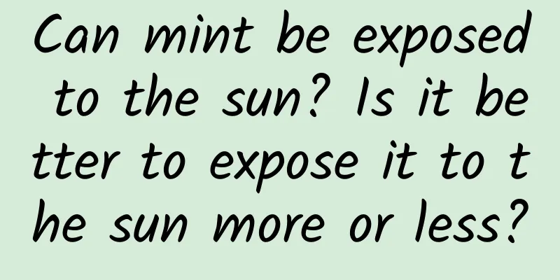 Can mint be exposed to the sun? Is it better to expose it to the sun more or less?
