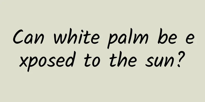 Can white palm be exposed to the sun?