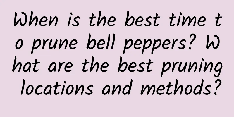 When is the best time to prune bell peppers? What are the best pruning locations and methods?