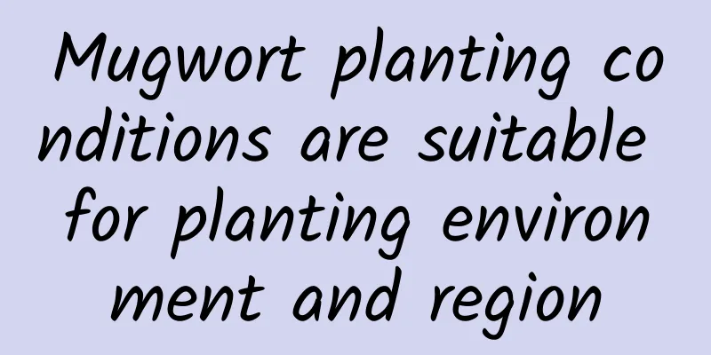 Mugwort planting conditions are suitable for planting environment and region