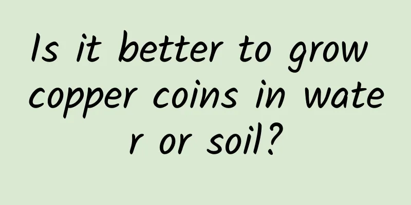 Is it better to grow copper coins in water or soil?