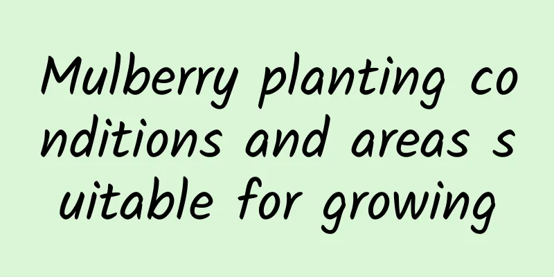Mulberry planting conditions and areas suitable for growing